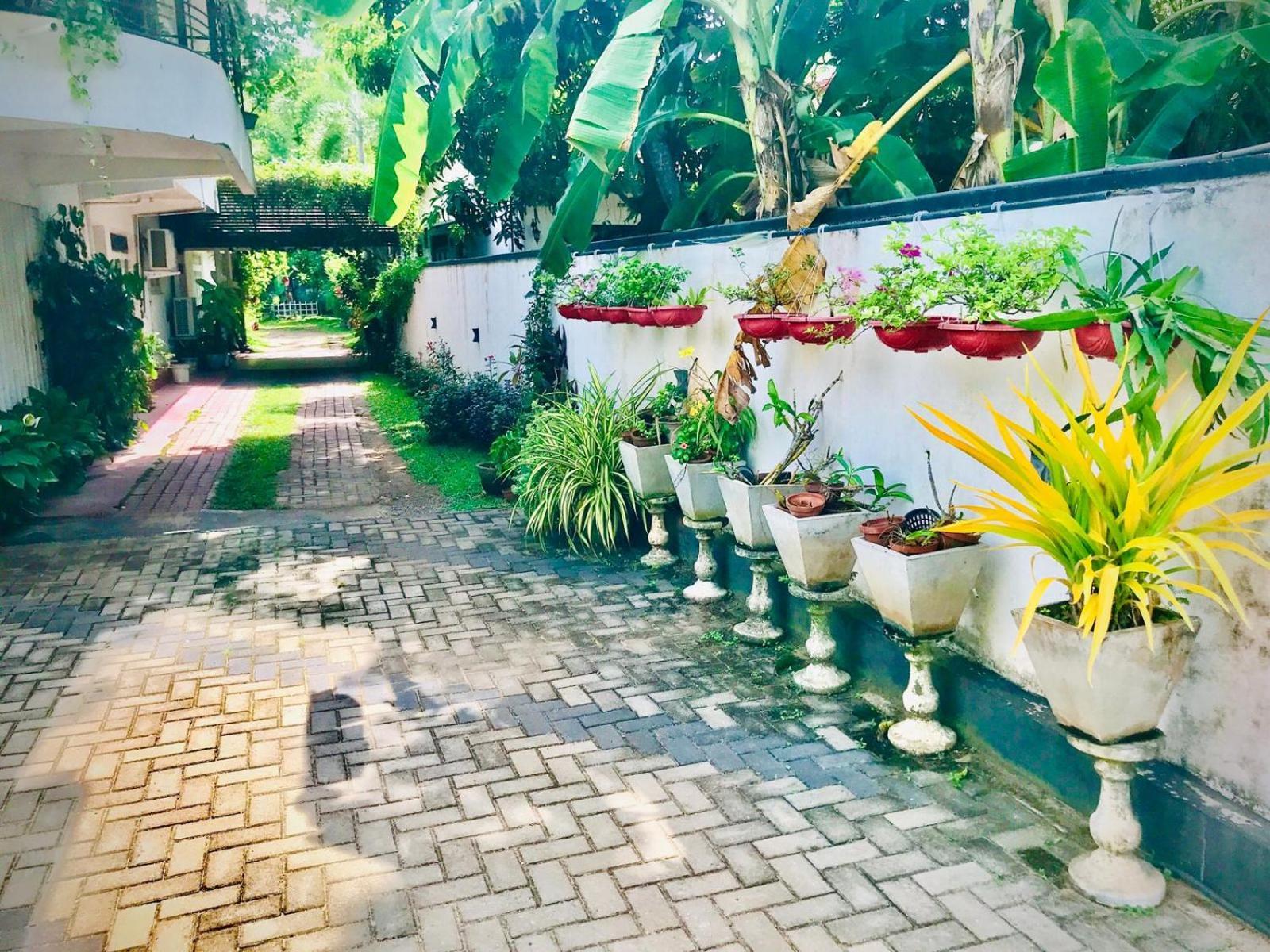 Pinidiya Resort Anuradhápura Exteriér fotografie
