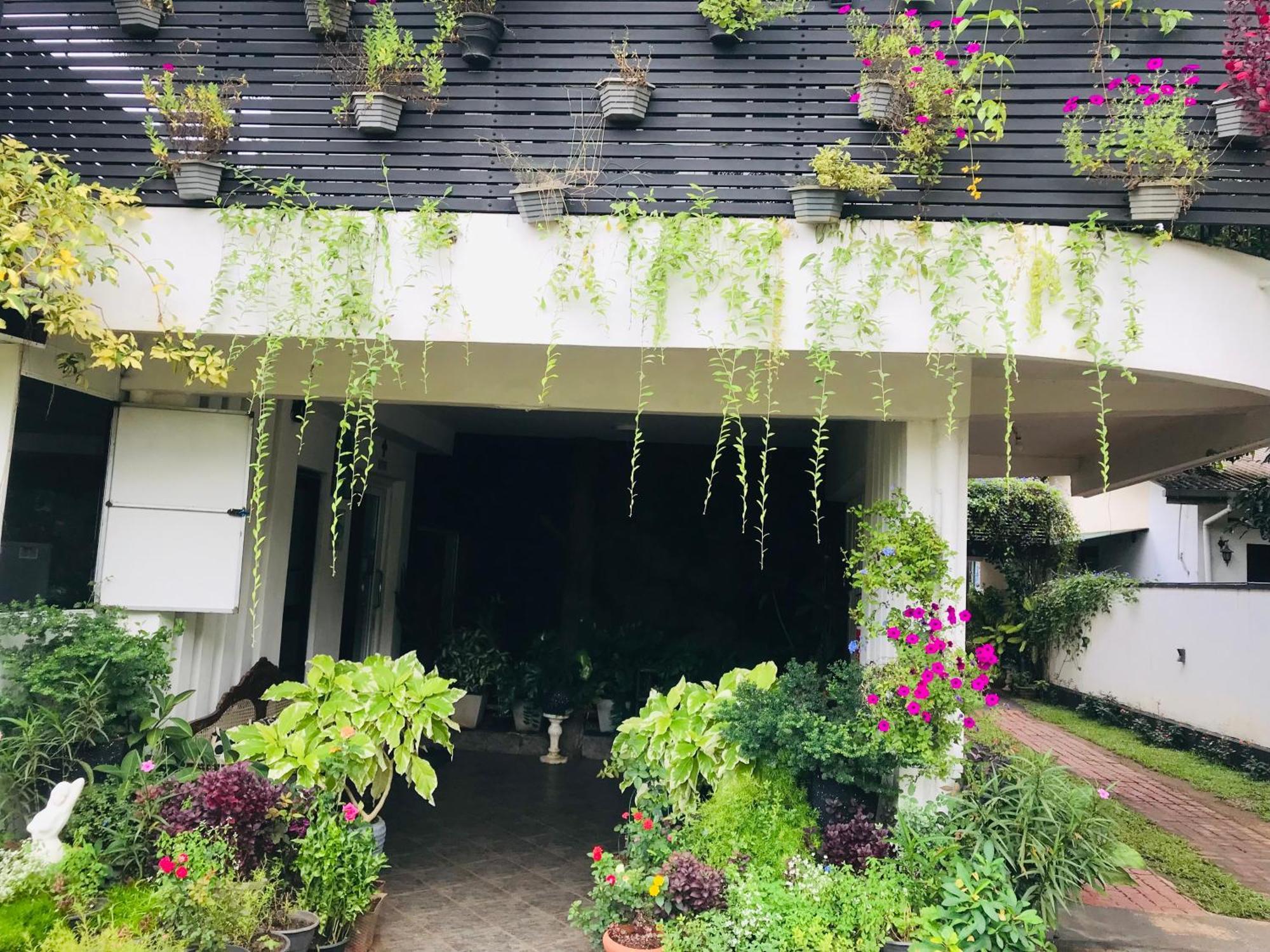 Pinidiya Resort Anuradhápura Exteriér fotografie