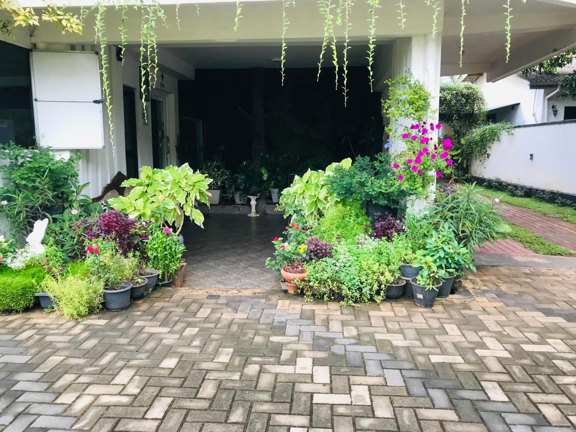 Pinidiya Resort Anuradhápura Exteriér fotografie
