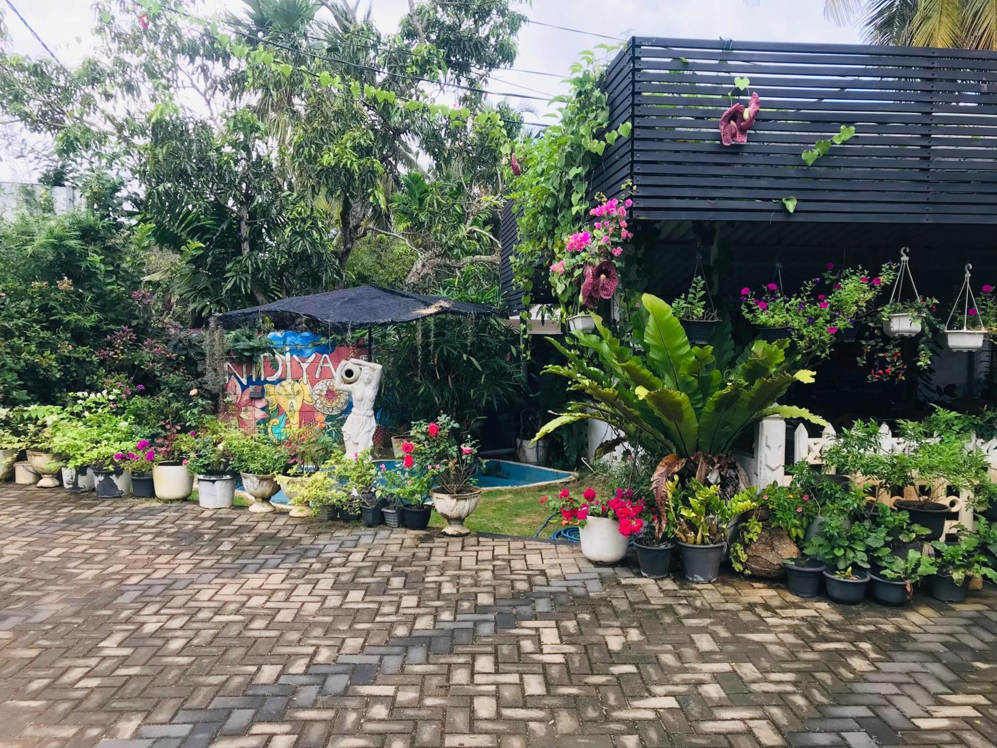 Pinidiya Resort Anuradhápura Exteriér fotografie