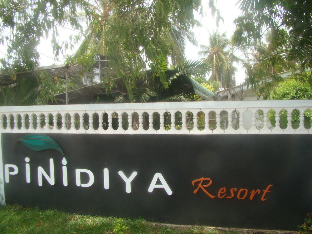 Pinidiya Resort Anuradhápura Exteriér fotografie