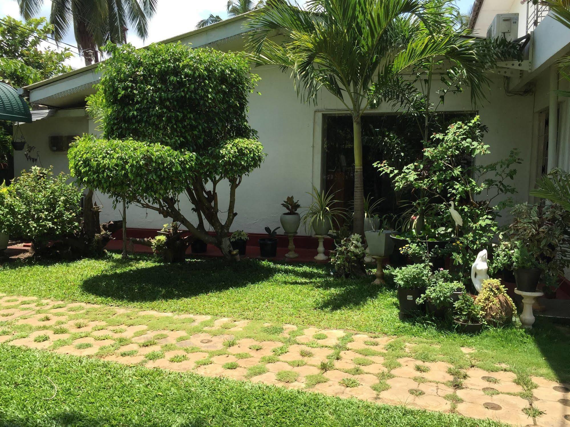 Pinidiya Resort Anuradhápura Exteriér fotografie